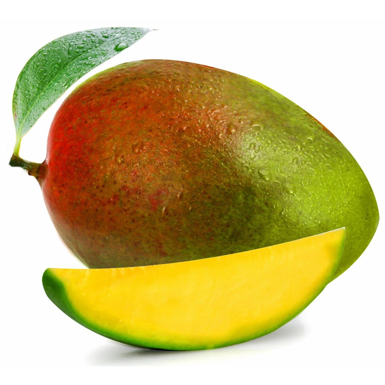 mangue-kent-_4932855_3276554154767